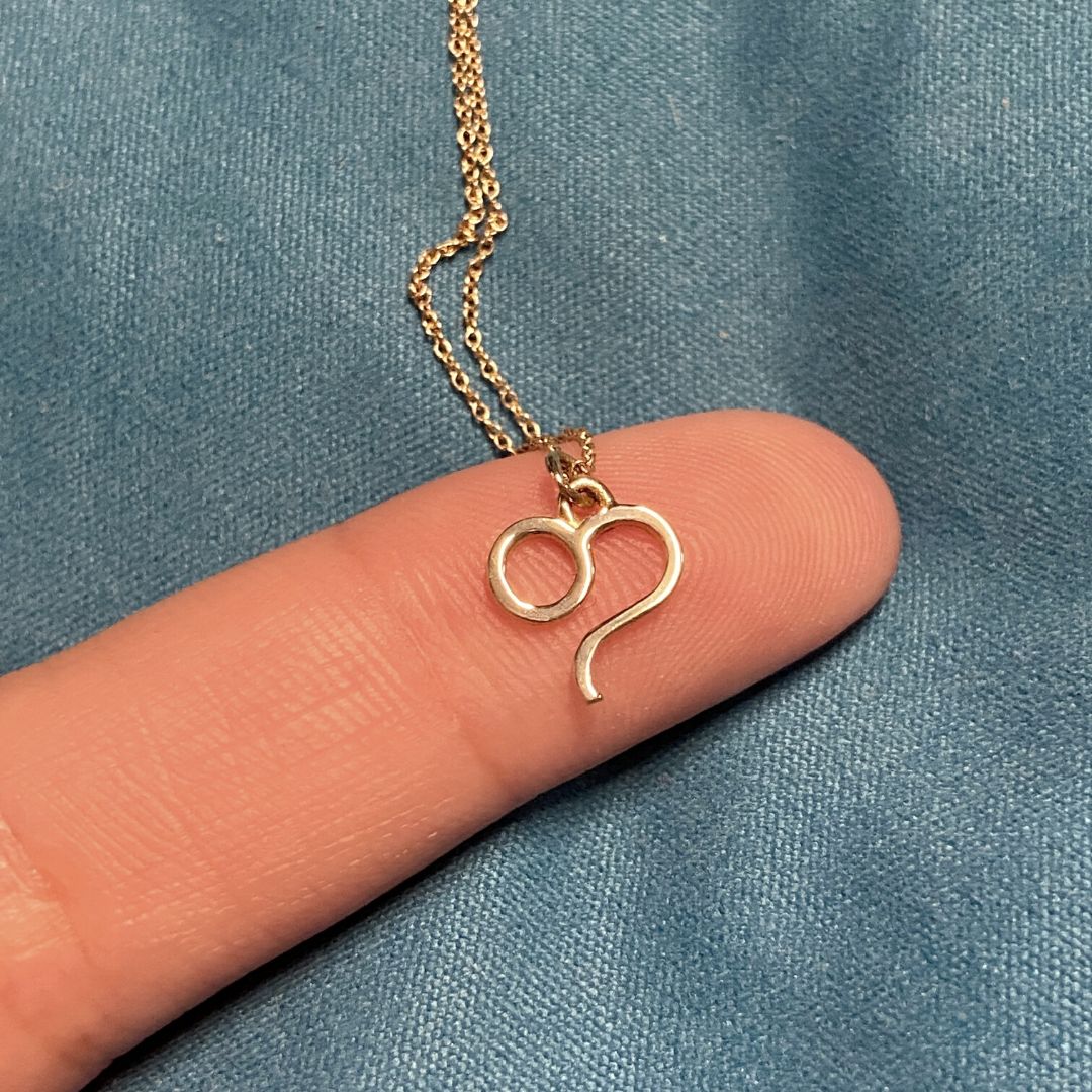 Leo Sign Zodiac Necklace in 14k Gold - Mazi New York-jewelry