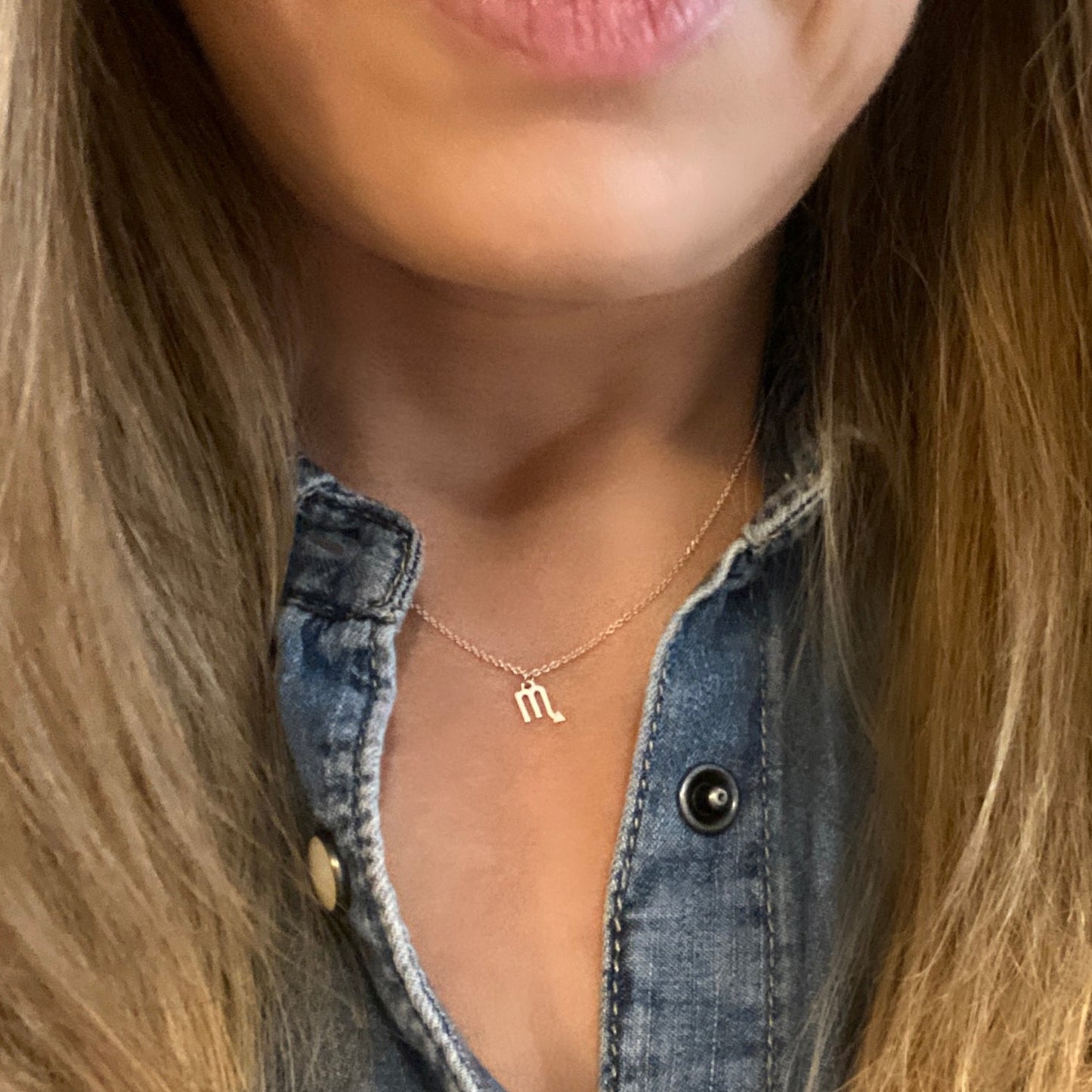 Scorpio Sign Zodiac Necklace in 14k Gold - Mazi New York-jewelry