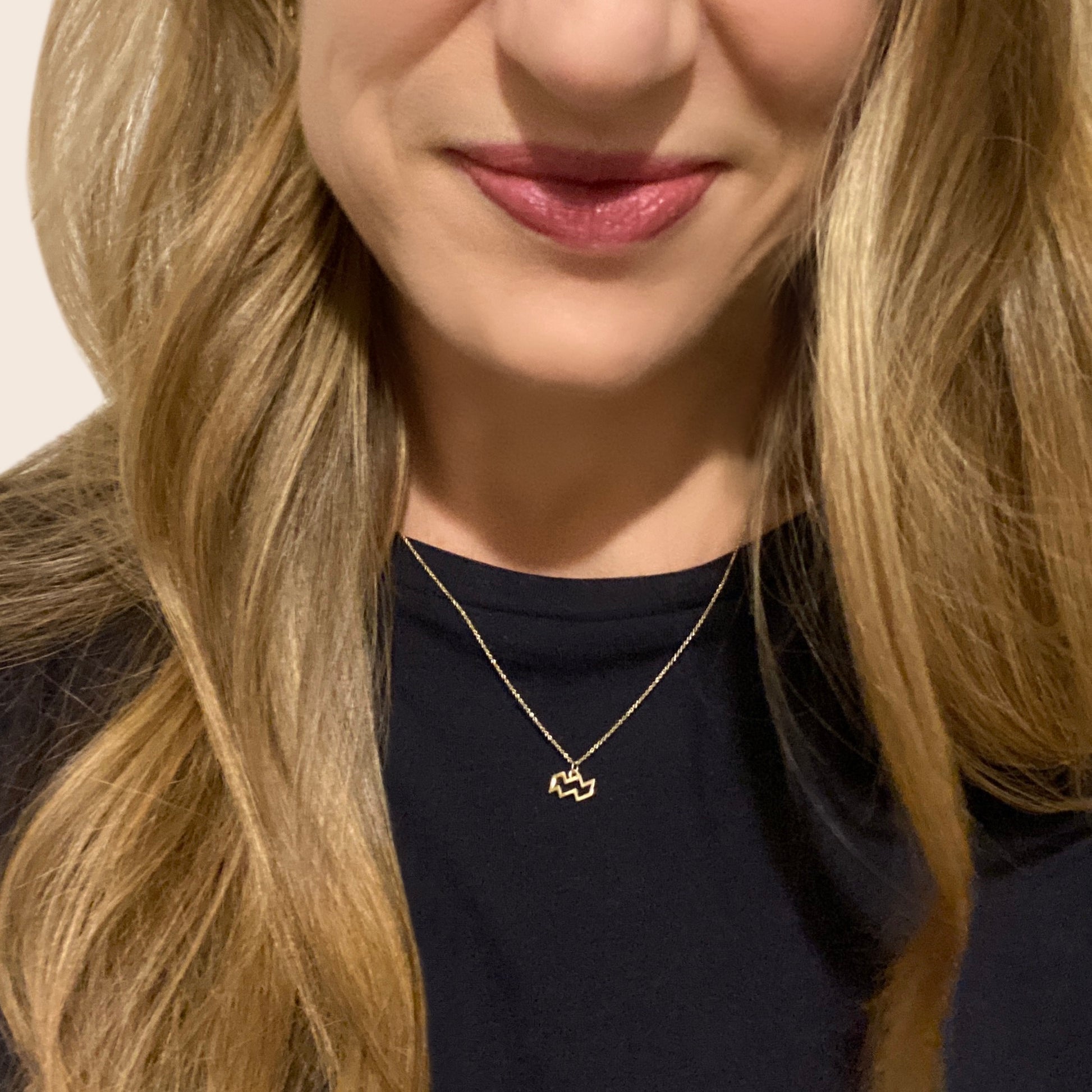 Aquarius Sign Zodiac Necklace in 14k Gold - Mazi New York-jewelry