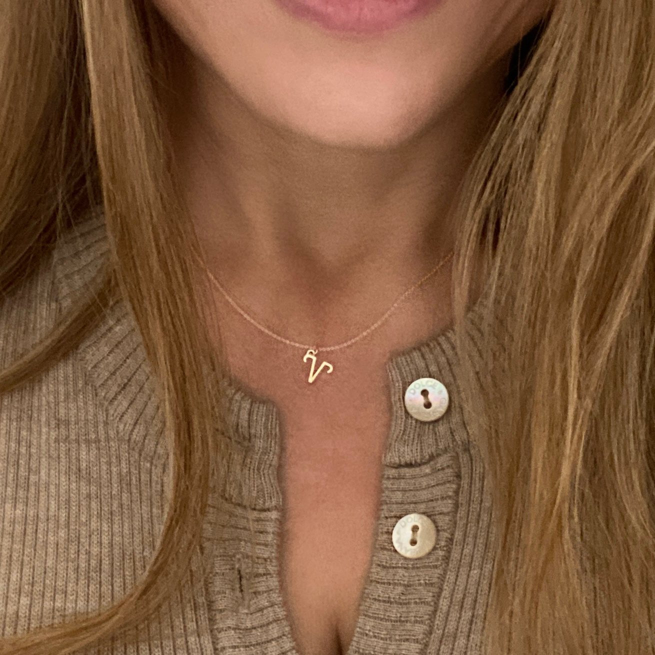 Aries Sign Zodiac Necklace in 14k Gold - Mazi New York-jewelry