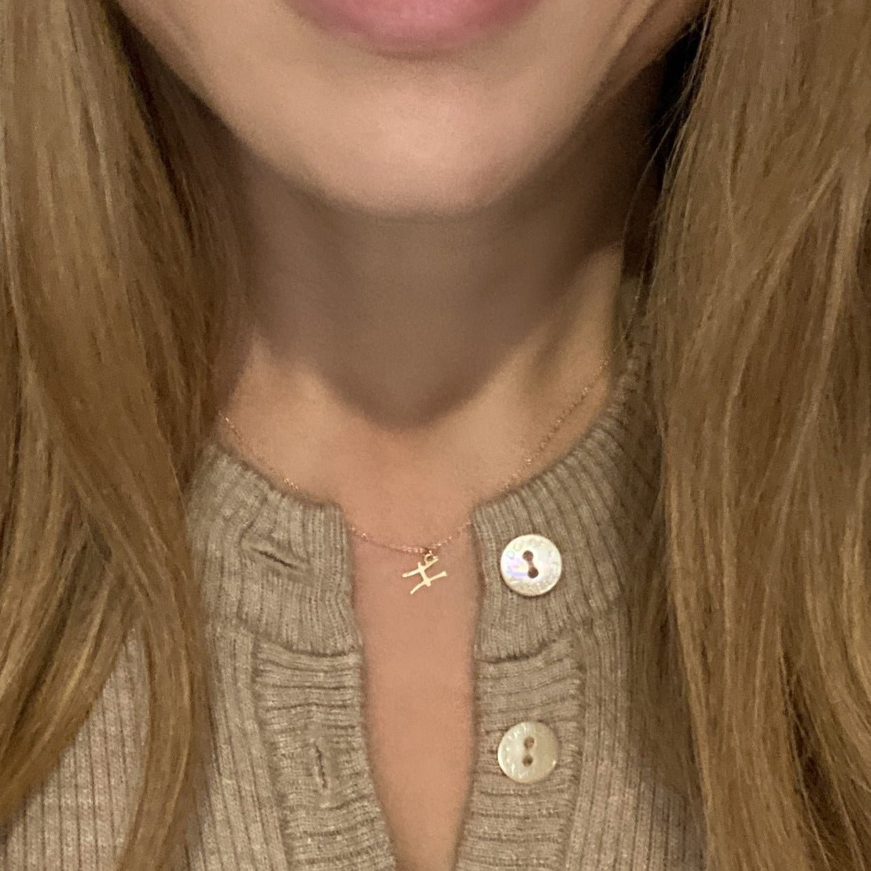 Pisces Sign Zodiac Necklace in 14k Gold - Mazi New York-jewelry
