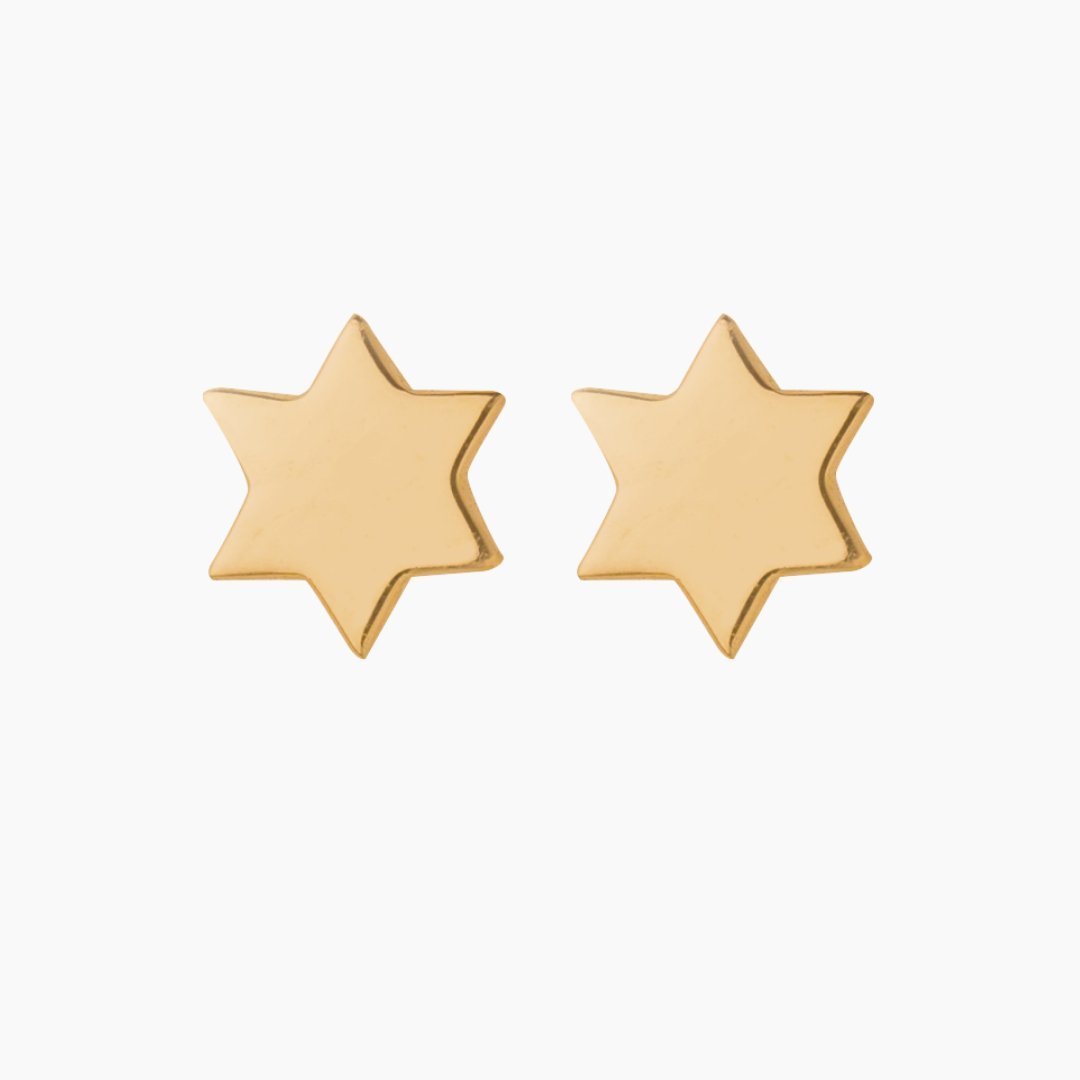 Star of David Earrings in 14k Gold - Mazi New York Jewelry